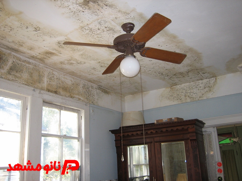 نم زدگی آب بارون